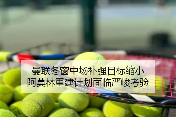 曼联冬窗中场补强目标缩小 阿莫林重建计划面临严峻考验