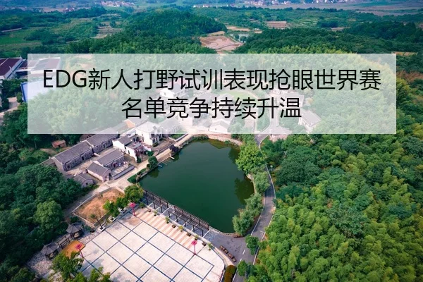 EDG新人打野试训表现抢眼世界赛名单竞争持续升温